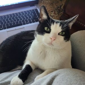 Meet your Posher, Juli